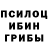 Галлюциногенные грибы Psilocybe MfourMike
