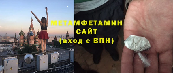 прущие грибы Приозерск