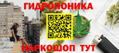 индика Кинель