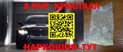 дурь Кингисепп