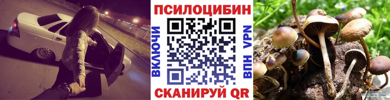 где продают   Красноармейск  Псилоцибиновые грибы GOLDEN TEACHER 