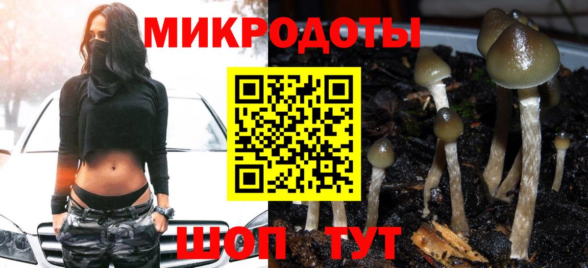 Псилоцибиновые грибы прущие грибы  Псилоцибиновые грибы Magic Shrooms  Красноармейск  закладка  Вход с VPN 